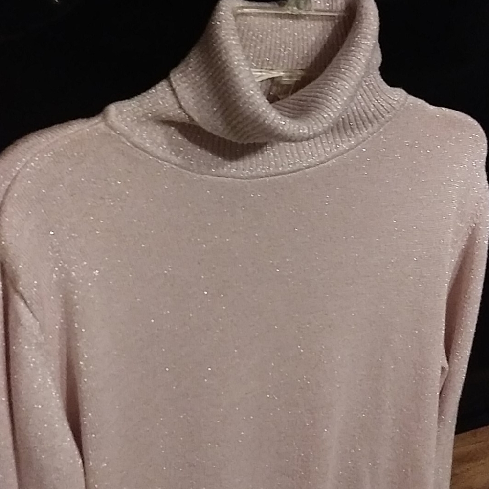 Joseph A Sparkle Turtle Neck